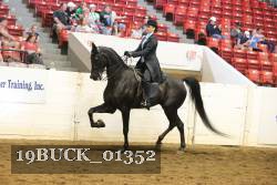 19BUCK_01352 proof