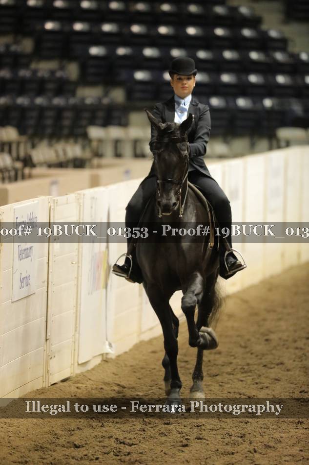 Proof 19BUCK_01353