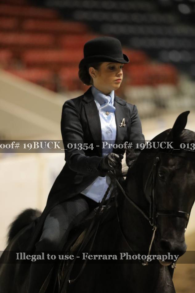 Proof 19BUCK_01354