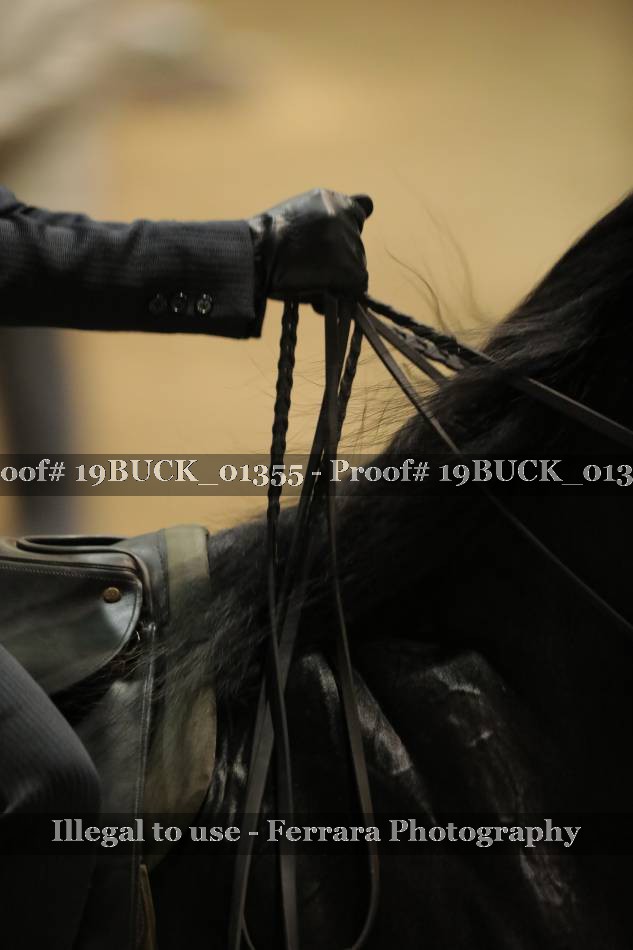Proof 19BUCK_01355