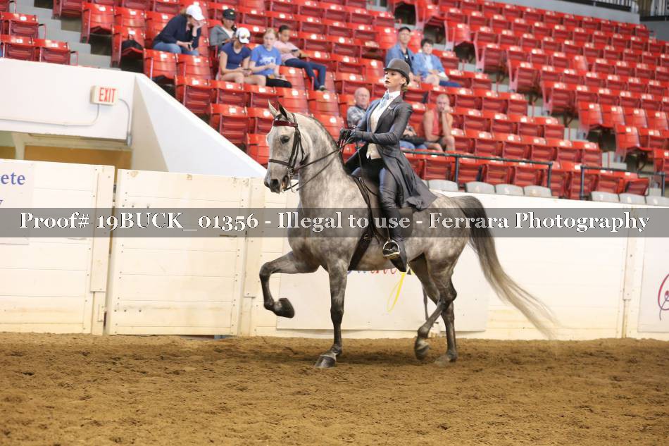 Proof 19BUCK_01356