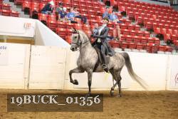 19BUCK_01356 proof