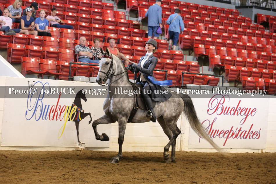 Proof 19BUCK_01357