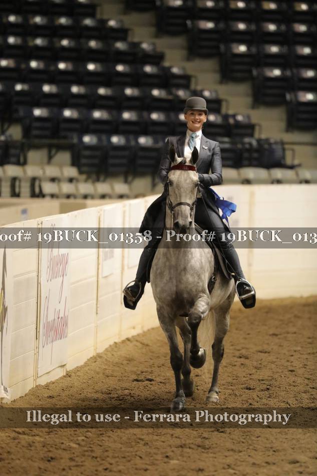 Proof 19BUCK_01358