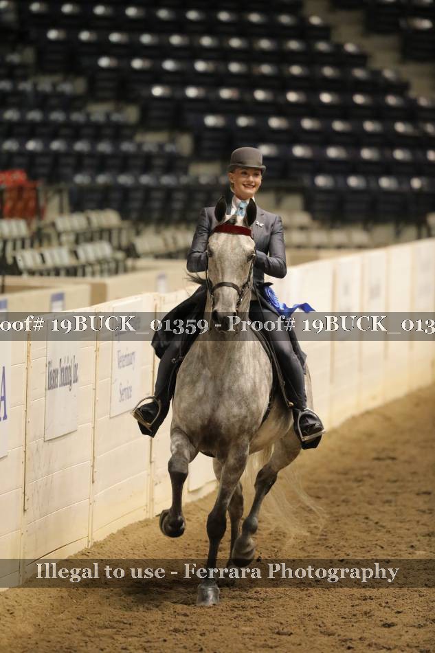 Proof 19BUCK_01359
