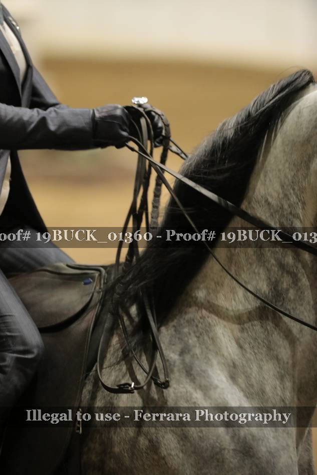 Proof 19BUCK_01360