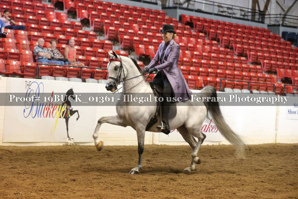 Proof 19BUCK_01361