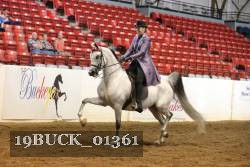 19BUCK_01361 proof