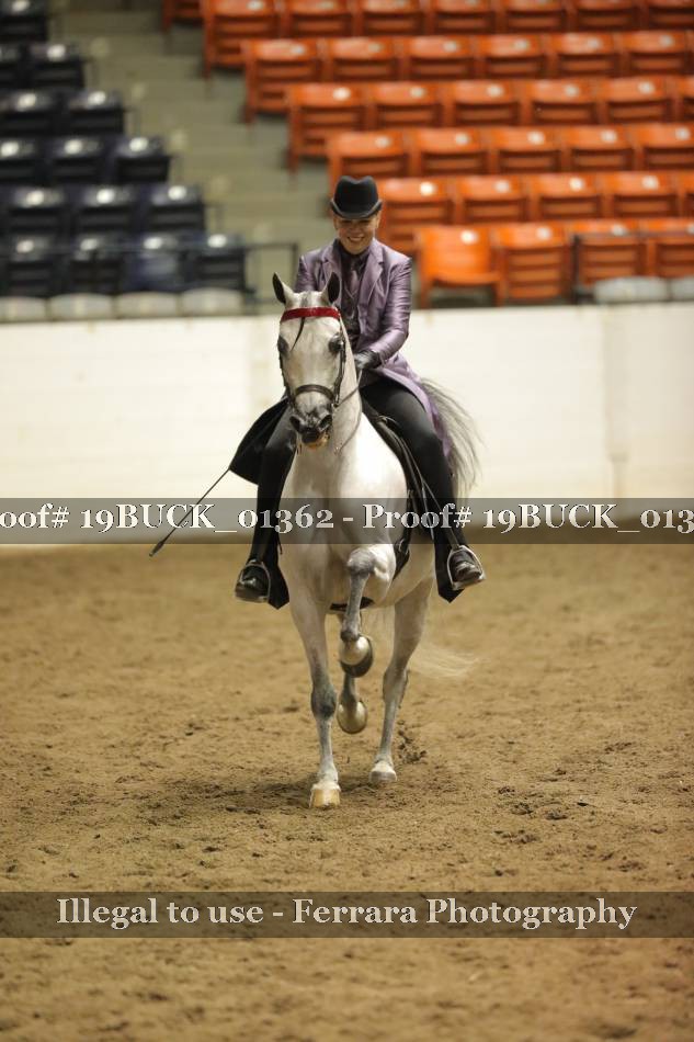 Proof 19BUCK_01362