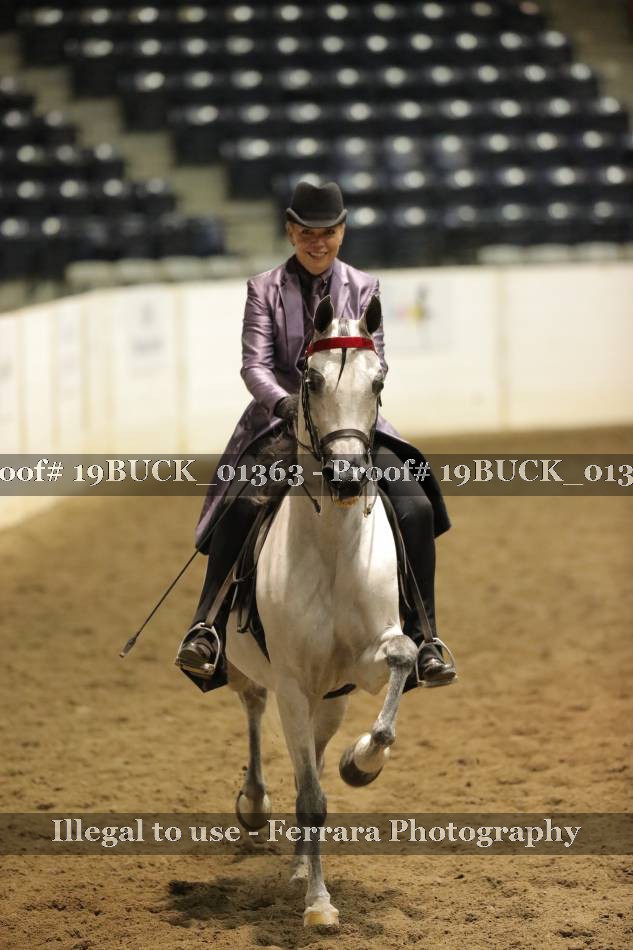 Proof 19BUCK_01363