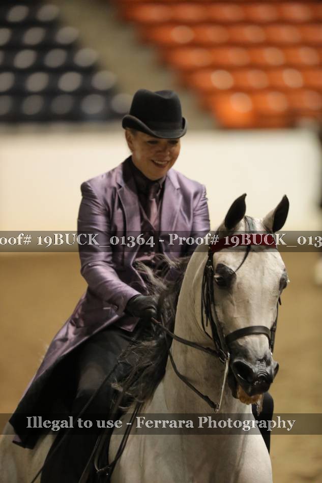 Proof 19BUCK_01364