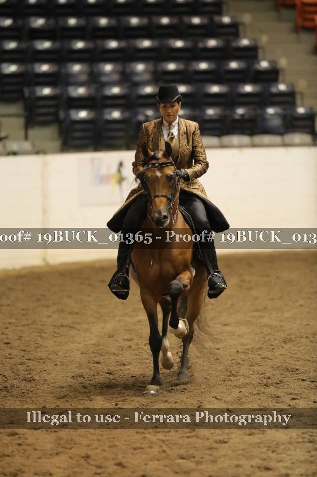 Proof 19BUCK_01365