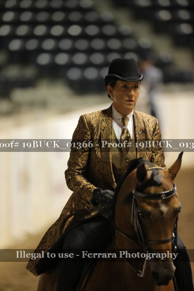 Proof 19BUCK_01366