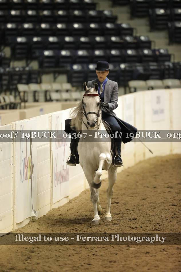 Proof 19BUCK_01367