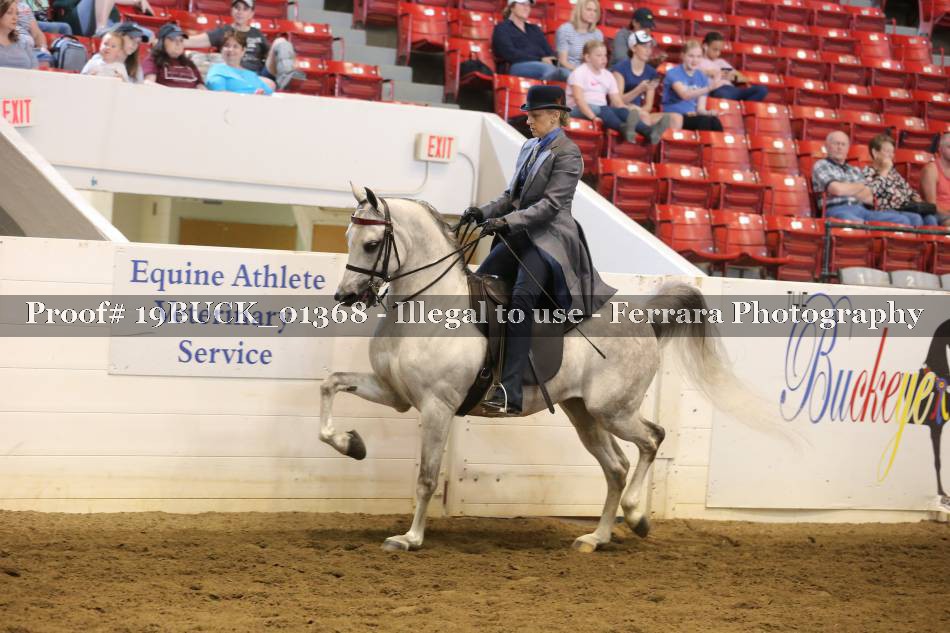 Proof 19BUCK_01368