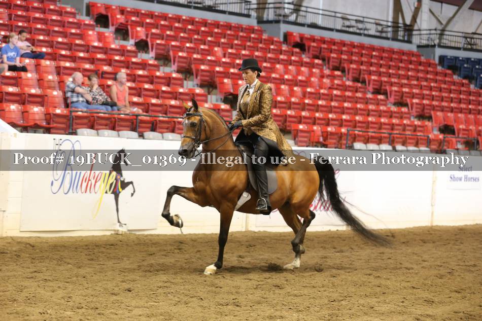 Proof 19BUCK_01369