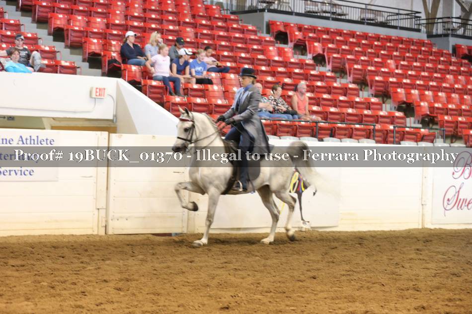 Proof 19BUCK_01370