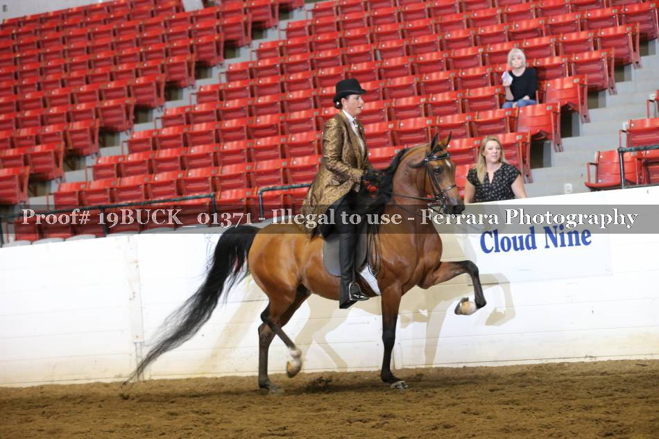 Proof 19BUCK_01371