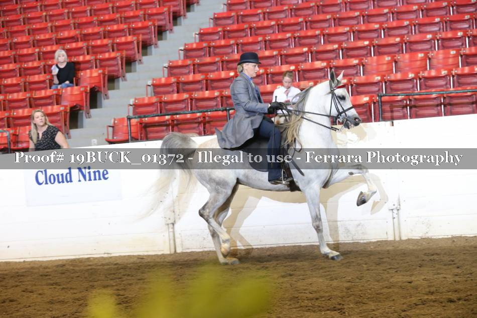 Proof 19BUCK_01372