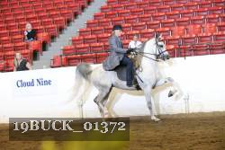 19BUCK_01372 proof