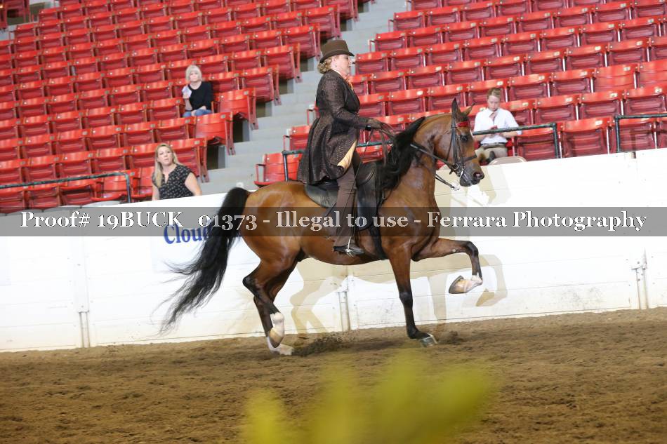 Proof 19BUCK_01373