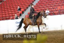 19BUCK_01373 proof