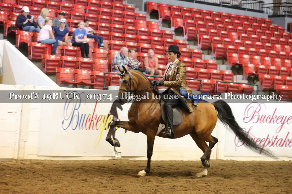 Proof 19BUCK_01374