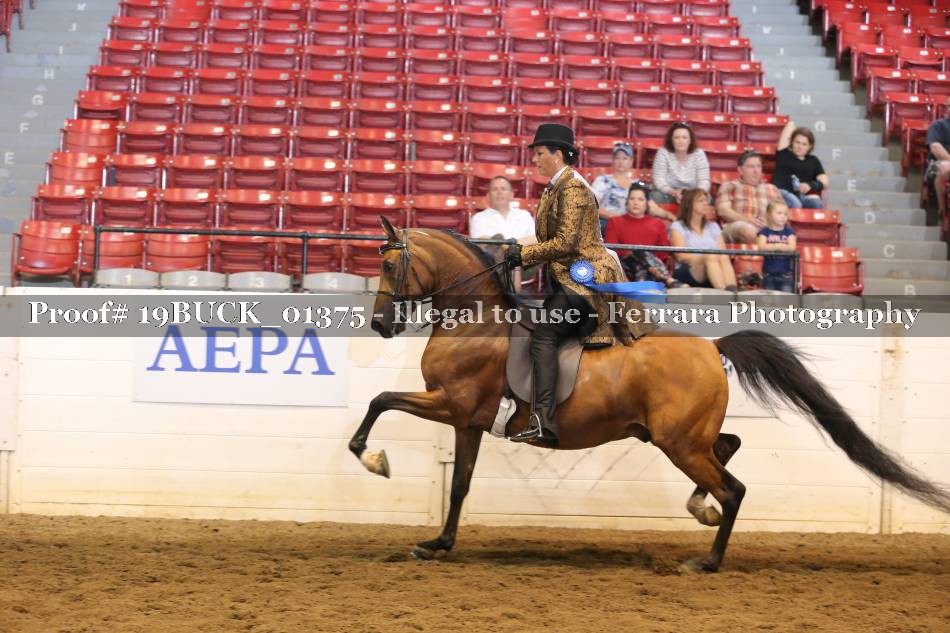 Proof 19BUCK_01375