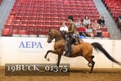 19BUCK_01375 proof