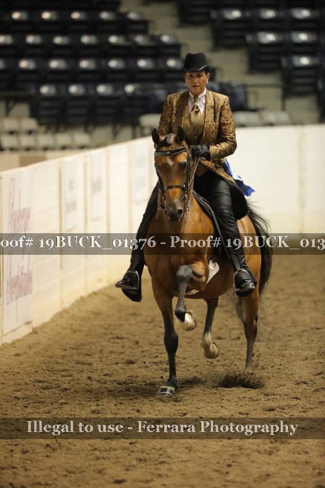 Proof 19BUCK_01376