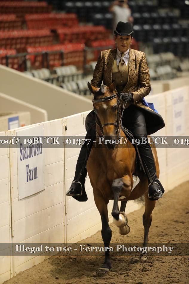 Proof 19BUCK_01377