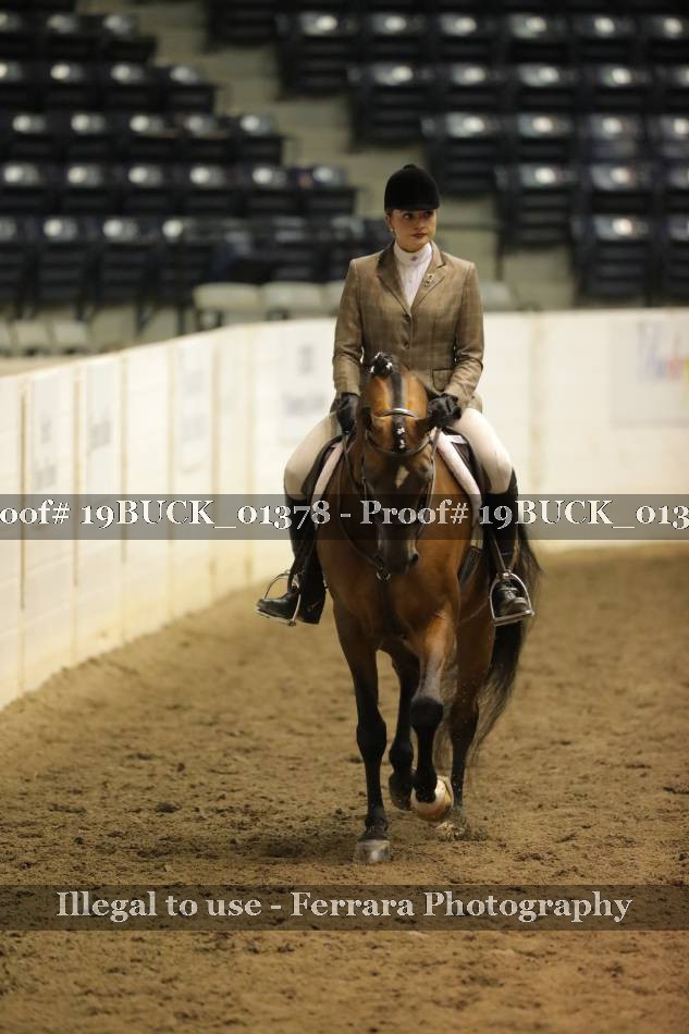 Proof 19BUCK_01378