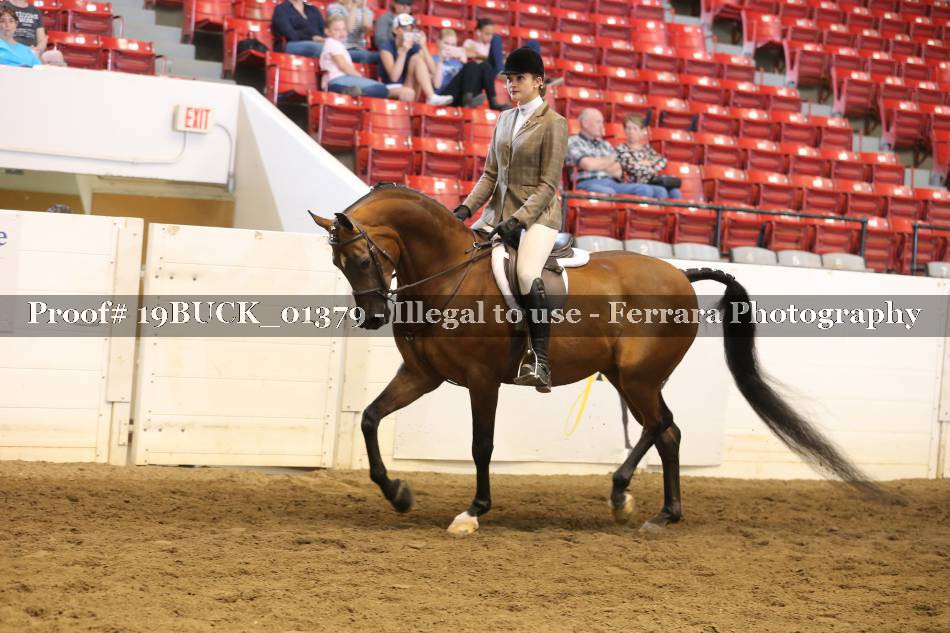 Proof 19BUCK_01379