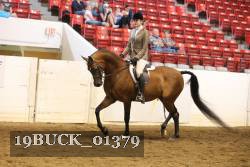 19BUCK_01379 proof