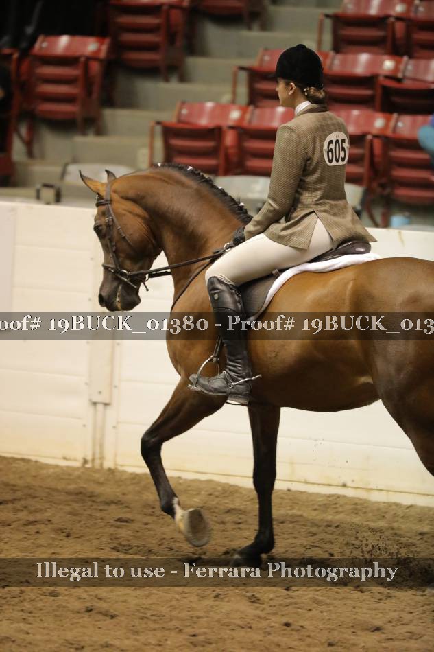 Proof 19BUCK_01380
