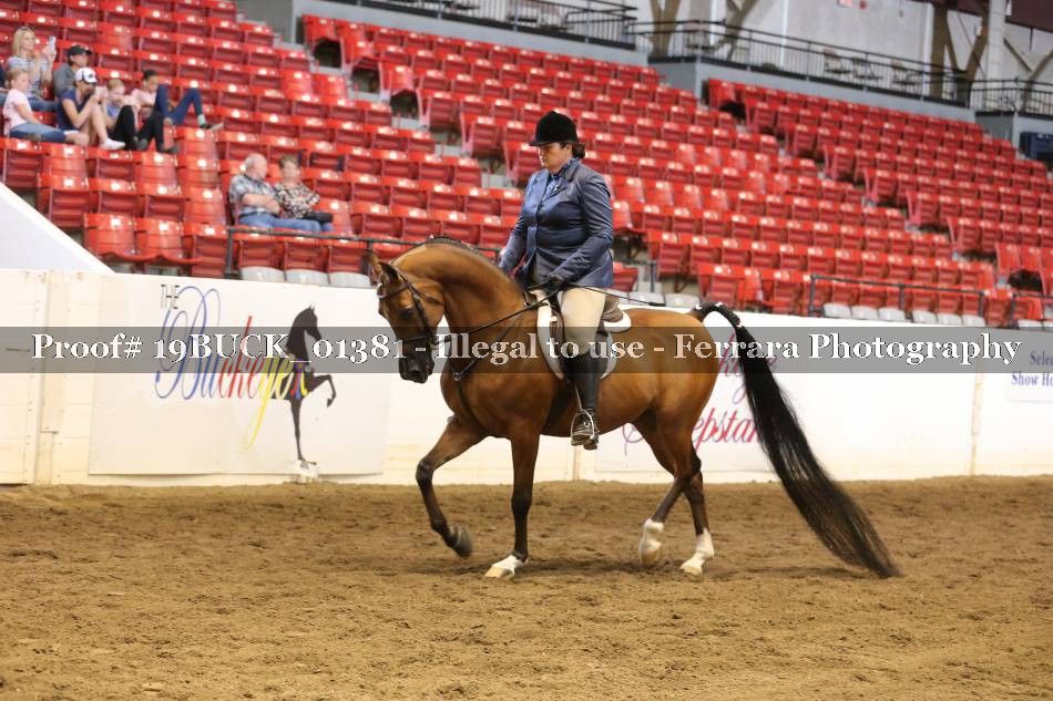 Proof 19BUCK_01381