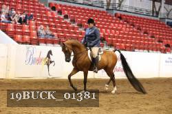 19BUCK_01381 proof