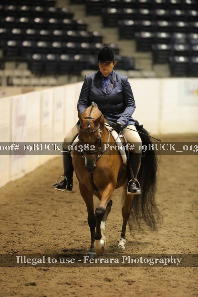 Proof 19BUCK_01382