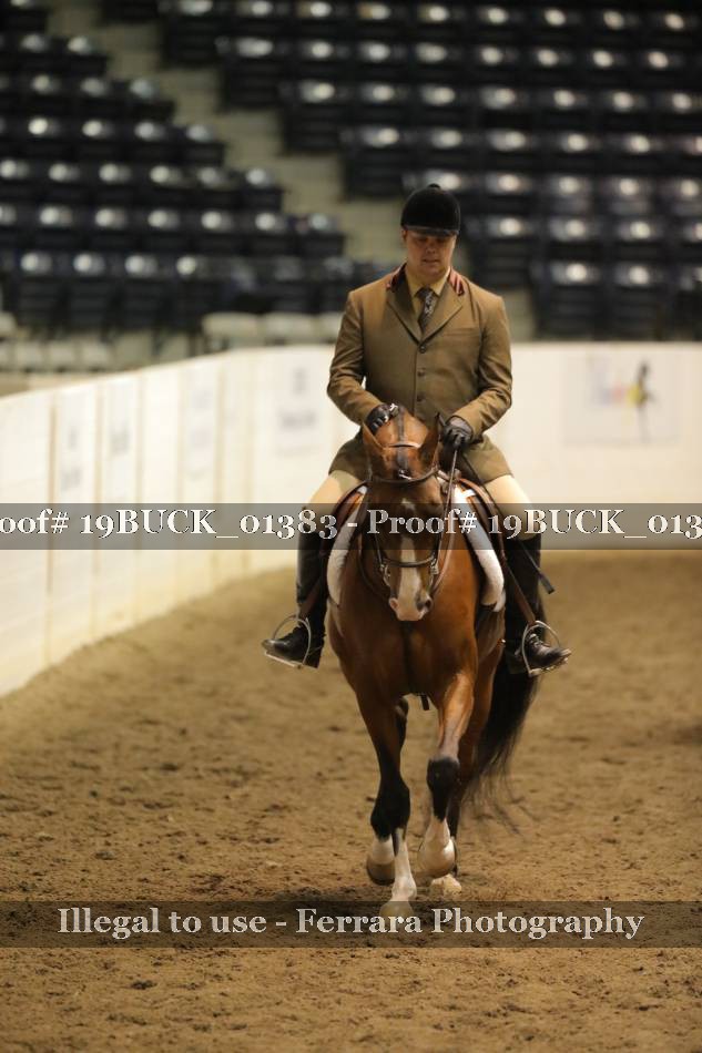 Proof 19BUCK_01383