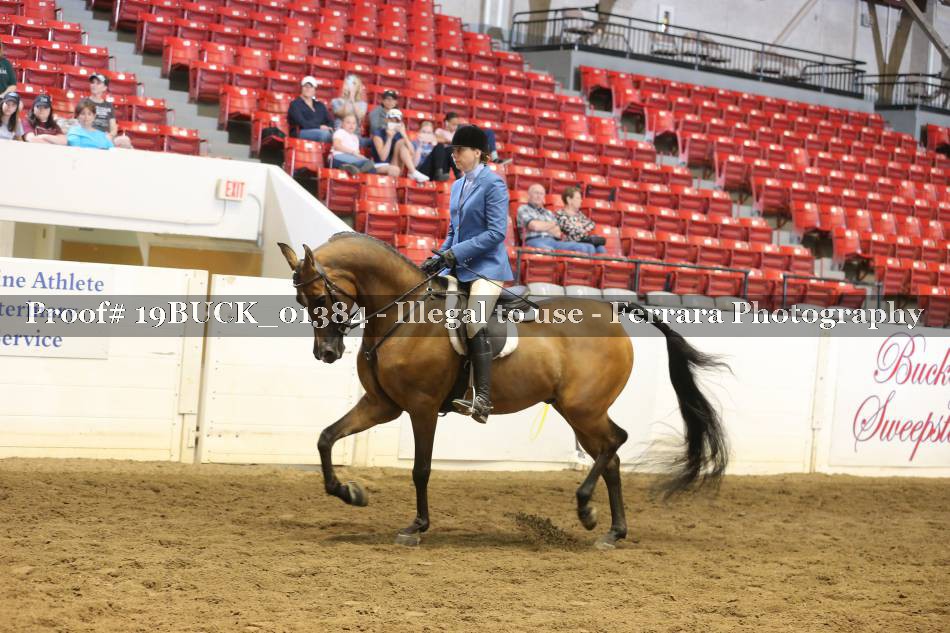 Proof 19BUCK_01384