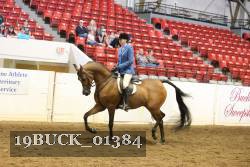19BUCK_01384 proof