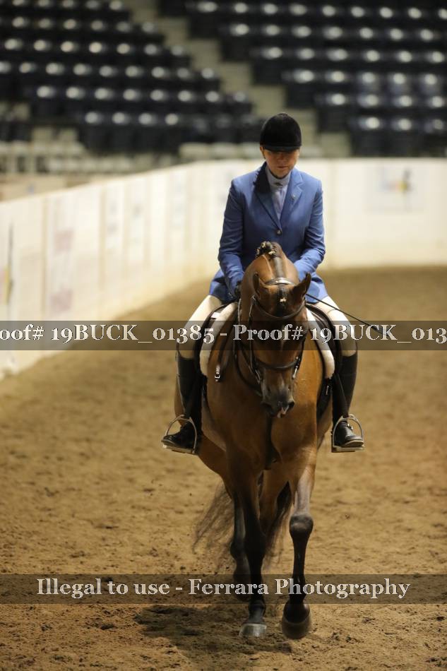 Proof 19BUCK_01385