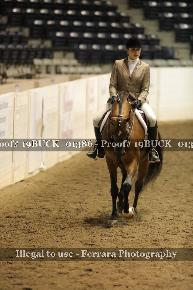 Proof 19BUCK_01386