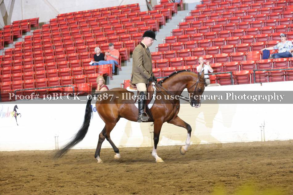 Proof 19BUCK_01387