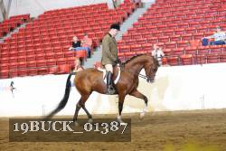 19BUCK_01387 proof