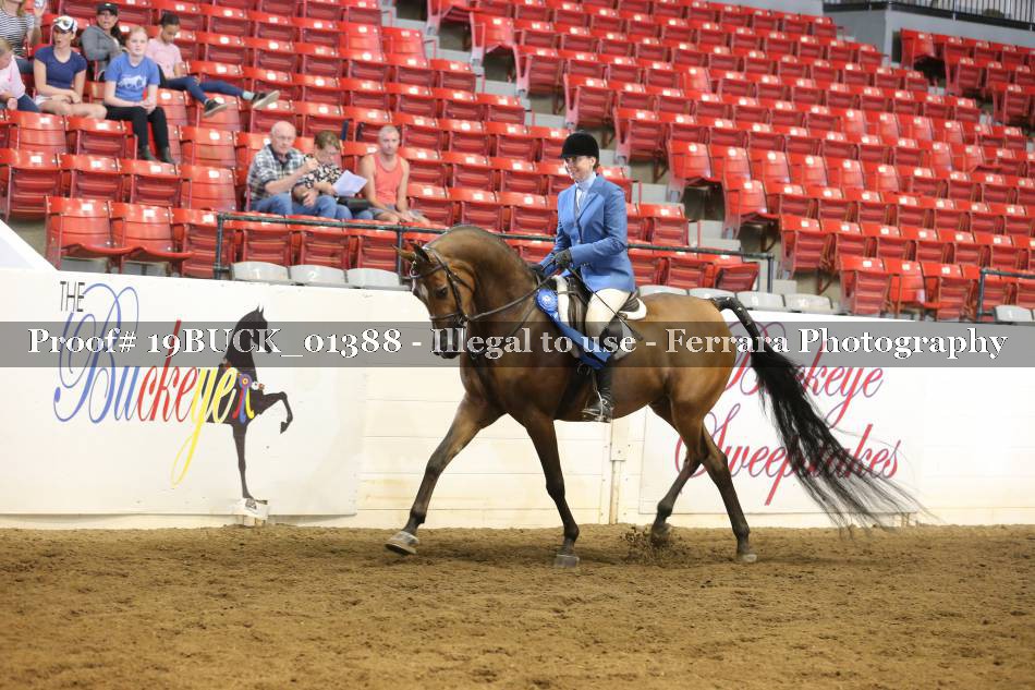 Proof 19BUCK_01388