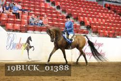 19BUCK_01388 proof