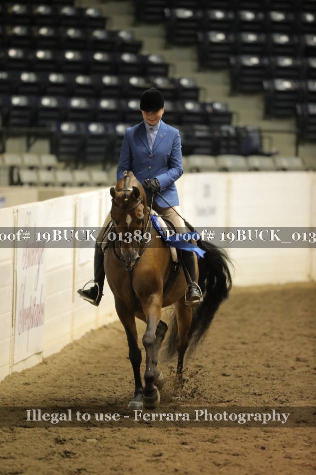 Proof 19BUCK_01389