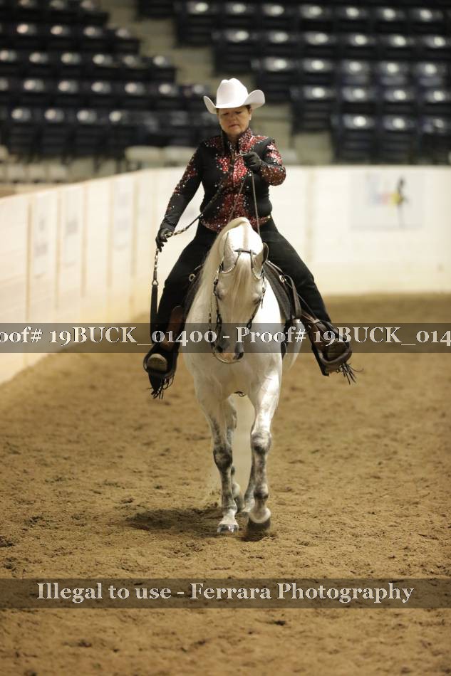 Proof 19BUCK_01400