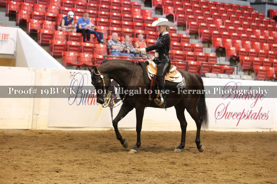 Proof 19BUCK_01401